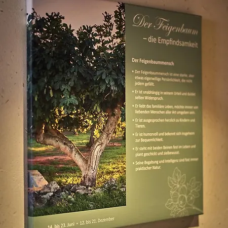 Hotel Zedernhof Gesundheits-&wellnesshotel