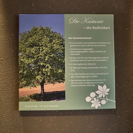 Zedernhof Gesundheits-&wellnesshotel 3* Stamsried