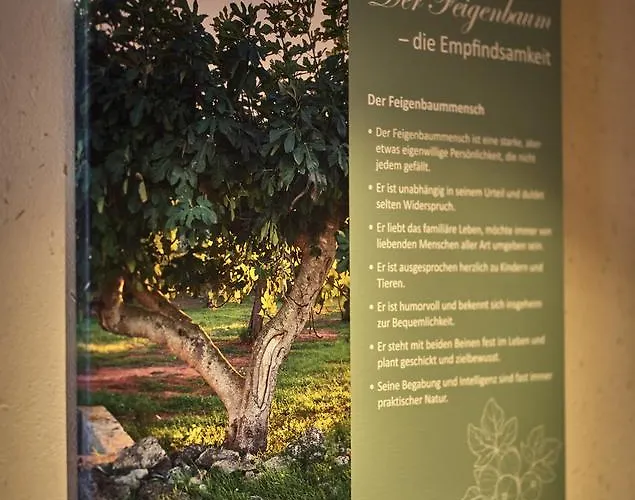 Ξενοδοχείο Zedernhof Gesundheits- & Wellnesshotel