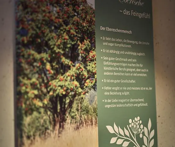 Zedernhof Gesundheits- & Wellnesshotel 3*